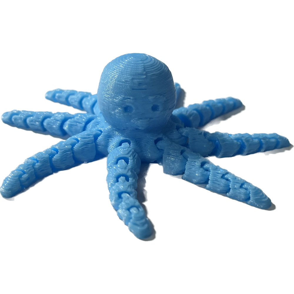 Cute Flexi Octopus - Made by Luke (My young son)